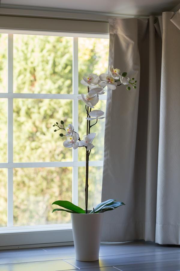 Joensuun Tilan Paeaerakennus Bed and Breakfast Soderkulla  Εξωτερικό φωτογραφία